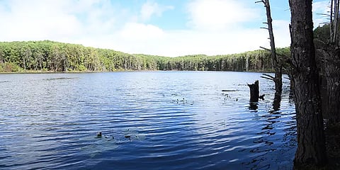 கொடைக்கானல்: நிரம்பி வழியும் கோணலாறு அணை... நீர் கசிவால் உடையும் அபாயம்