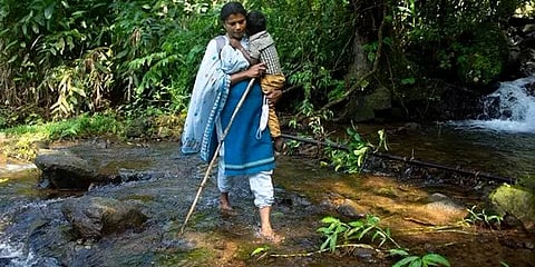 தினமும் 16 கி.மீ காட்டுவழி பயணம்... பழங்குடி மாணவர்களுக்கு பாடமெடுக்கும் பெண் ஆசிரியர்!