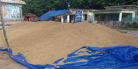 நெல் கொள்முதலில் ஈரப்பத அளவை உயர்த்த தமிழக அரசு பரிந்துரை