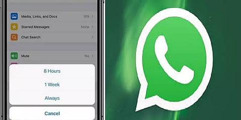 இனி எப்போதும் ‘மியூட்' - ‘வாட்ஸ் அப்’ பின் புதிய அப்டேட்..!!