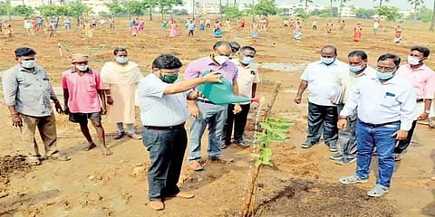 33 ஏக்கர், 500 பாரம்பரிய மரவகைகள்... சென்னை மாநகராட்சியின் இயற்கைத் தோட்டம்