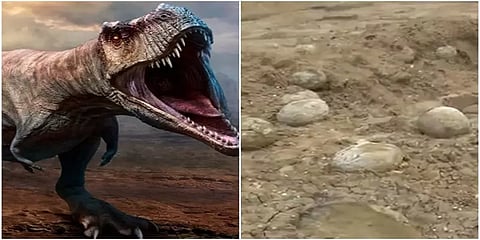 பெரம்பலூரில் கண்டறியப்பட்டவை டைனோசர் முட்டைகள் அல்ல: ஆய்வில் தகவல்