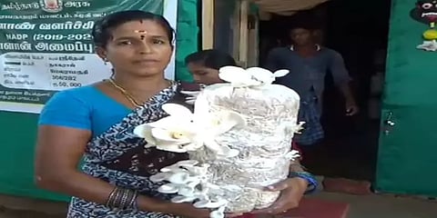 மாதம் ரூ.30,000 வருமானம்.... வறட்சி பகுதியிலும் காளான் வளர்த்து அசத்தும் பெண்...!
