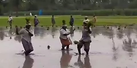 டிராக்டரில் ஒலித்த 'ஆச மச்சான்' பாடல்.. வயலில் நடனம் ஆடிய விவசாயிகள்.. வைரல் வீடியோ.!