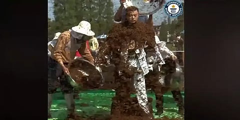 தேனீ மனிதனின் மிரள வைக்கும் கின்னஸ் சாதனை - ஃபேஸ்புக்கில் வைரலான வீடியோ