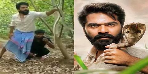 ’நிஜ பாம்பை லாவகமாக பிடிக்கும் சிம்பு’ : வைரல் வீடியோவால் வெடித்த சர்ச்சை!