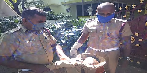 குடியிருப்புக்குள் புகுந்த ஆமை... கூடி நின்று செல்ஃபி எடுத்த மக்கள்