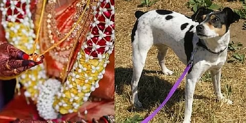 தாலியை ’நாய்ச்சங்கிலி’ எனக் குறிப்பிட்ட பேராசிரியர் மீது புகார்!