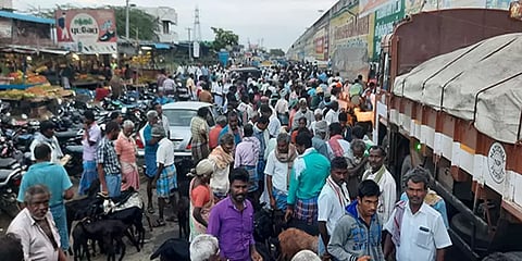 வேப்பூர்: 5 மணி நேரத்தில் ரூ.5 கோடிக்கு விற்பனையான ஆடுகள்!