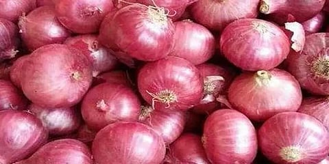 கோயம்பேடு : கணிசமாக குறைந்த பெரிய வெங்காயத்தின் விலை