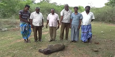 தீபாவளியையொட்டி வன விலங்குகள் வேட்டை: தீவிர கண்காணிப்பில் வனத்துறை