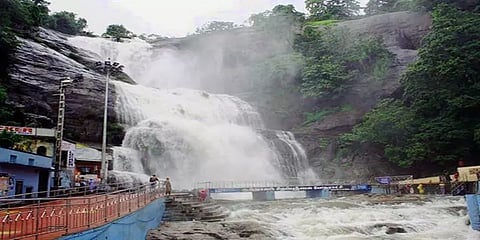 தொடர் கனமழை: குற்றால அருவிகளில் கடும் வெள்ளப்பெருக்கு.!