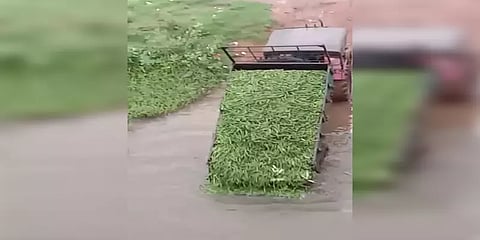 விளைச்சல் இருந்தும் விலையில்லை: ஆற்றில் வண்டி வண்டியாக கொட்டப்படும் வெண்டைக்காய்