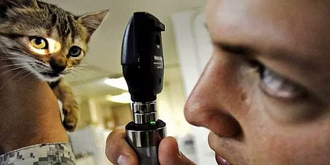 கால்நடை மருத்துவப் படிப்புக்கான தரவரிசைப் பட்டியல் வெளியீடு: கன்னியாகுமரி மாணவி முதலிடம்