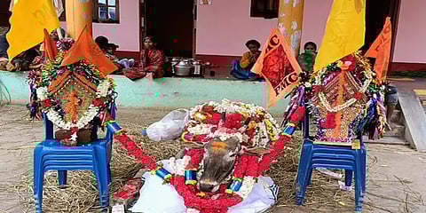 நோய்வாய்ப்பட்டு இறந்த காளை: வீட்டில் ஒருவரைபோல் இறுதிச் சடங்கு செய்த விவசாயி