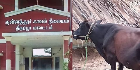வழிதவறி வந்த பசுமாடு: விற்று பணத்தை பங்குபோட்ட தலைமை காவலர்