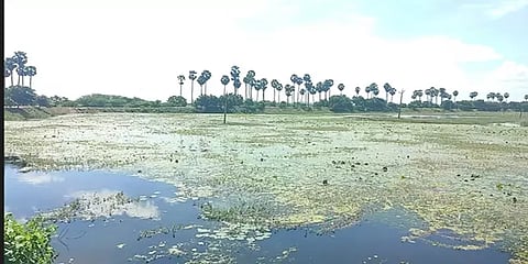 செங்கல்பட்டில் பாதுகாப்பு குறைந்த 72 ஏரிகள்: நீரின் அளவை குறைக்க நடவடிக்கை