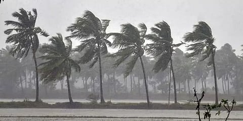 நிவர் புயல்: முன்னெச்சரிக்கையுடன் விழுப்புரம் மாவட்டம்..!