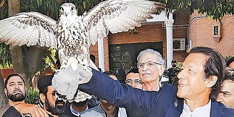 கொடுத்த கடனை திருப்பிக் கேட்ட சவுதி... கழுகுகள் ஏற்றுமதியில் சட்டத்தை மீறிய இம்ரான் கான்!