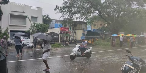 வேரோடு சாய்ந்த மரம்.. ஒருவர் பலி.. பதைபதைக்கும் சிசிடிவி காட்சி