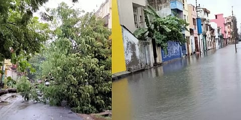 நிவர் புயல் தாக்கிய புதுச்சேரியின் கள நிலவர புகைப்படங்கள்! - சிறப்புத் தொகுப்பு