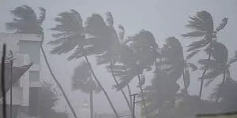 புகைப்படத் தொகுப்பில் நிவர் புயல் பாதிப்புகள்!