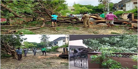 புகைப்படத் தொகுப்பில் நிவர் புயல் மீட்புப் பணிகள்!