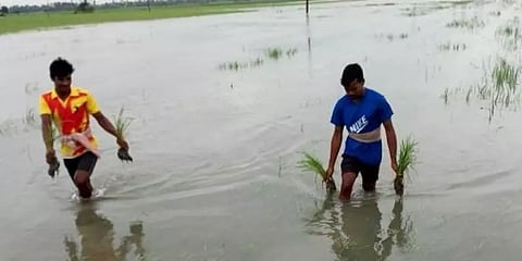 கடலூர்: மழைவெள்ளம் சூழ்ந்து தீவாக மாறிய கிராமம்... மக்கள் தவிப்பு