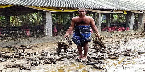 வேலூர்: வெள்ளத்தில் சிக்கி 2500 நாட்டுக் கோழிகள் உயிரிழப்பு - நிவாரணம் வழங்க கோரிக்கை!