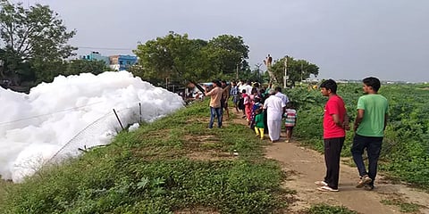 மதுரையில் கண்மாய் நீருடன் கலக்கும் கழிவுநீர்: 20 அடி உயரத்திற்கு பொங்கியெழும் நுரை!