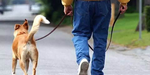 சேலம்: நாய் கடித்துவிட்டதாக புகார்: நாயின் உரிமையாளரை கைது செய்த போலீசார்!