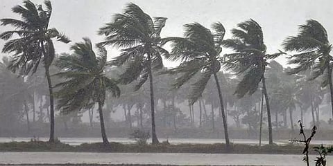 நாளை காலை உருவாகிறது ‘புரெவி’ புயல் - வானிலை ஆய்வு மையம்