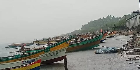 புரெவி புயல்: புதுக்கோட்டையில் பலத்த காற்றுடன் கனமழை... மீனவர்கள் அச்சம்!