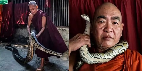 காயம்பட்ட, வழிதவறிய பாம்புகளுக்கு அடைக்கலம் கொடுத்து பாதுகாக்கும் புத்தமத துறவி !