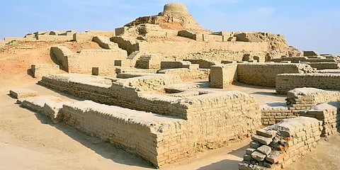 சிந்து சமவெளி மக்களின் முக்கிய உணவு மாட்டிறைச்சி: தொல்லியல் ஆய்வில் தகவல்