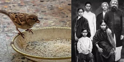 பாரதியாரின் வறுமையை போக்கிய ’சிட்டுக் குருவிகள்’: பாரதி வாழ்வில் நடந்த சுவாரஸ்ய சம்பவம்!