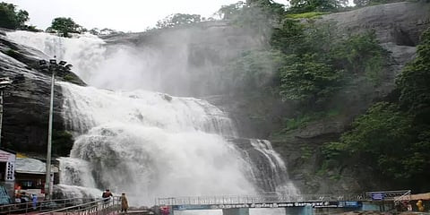 குற்றால அருவிகளில் நாளை முதல் குளிக்க அனுமதி