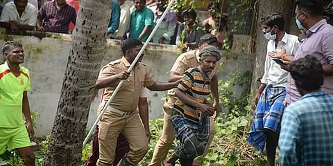 தஞ்சை: போதையில் தென்னை மரத்தின் மீது தூங்கிய தொழிலாளியால் பரபரப்பு