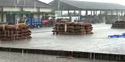 திடீரென பெய்த மழையில் நனைந்த 2000 நெல் மூட்டைகள்: வேதனையில் செஞ்சி விவசாயிகள்