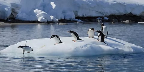 அண்டார்டிகாவில் கடந்த 3 மாதங்களில் 30,000 முறை நில அதிர்வு : சிலி விஞ்ஞானிகள் தகவல்