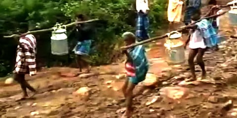 " 5 கி.மீ தூரம் நடந்தே செல்ல நாங்கள் என்ன கால்நடைகளா"- குமுறும் மலைவாழ் மக்கள்