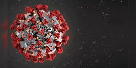 பிரிட்டனில் இருந்து காஞ்சிபுரம் வந்த 7 பேருக்கு கொரோனாவா? சுகாதாரத்துறை அதிகாரிகள் ஆய்வு