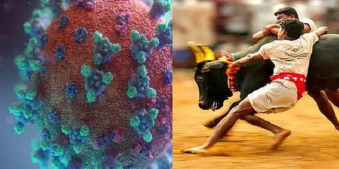 #TopNews: ’ஜல்லிக்கட்டுக்கு அனுமதி’ முதல் ’தீவிரமடையும் உருமாறிய கொரோனா சோதனை வரை’