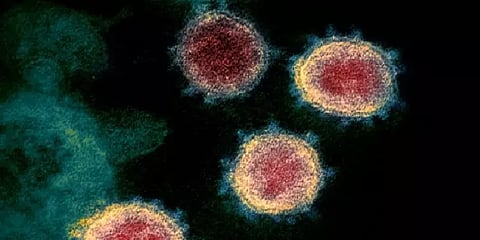 நாடு முழுவதும் 20 பேருக்கு உருமாறிய கொரோனா பாதிப்பு