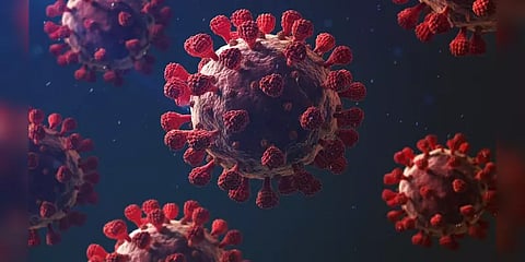 சீனாவிலும் பரவியது உருமாறிய கொரோனா வைரஸ்