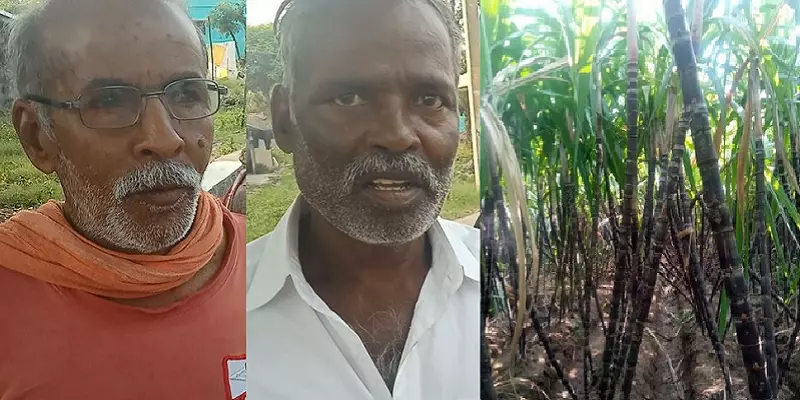 “வட்டிக்கடன் கழுத்தை நெரிக்கிறது” சர்க்கரை ஆலையால் நசுங்கும் கரும்பு விவசாயிகள் வாழ்க்கை!