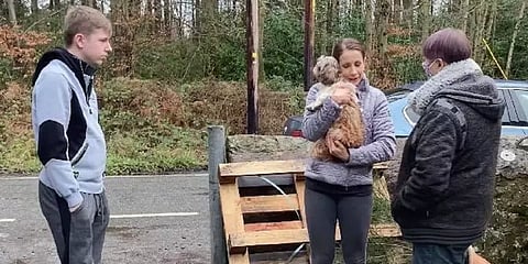 காணாமல்போன நாயை 8 வருடங்களுக்குப் பின் கண்டுபிடித்த பெண்!