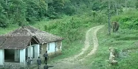 கோவை: அடம் பிடித்த காட்டு யானை.. பேசியே காட்டுக்குள் அனுப்பிய வனத்துறையினர்!