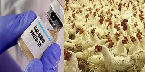 கொரோனா தடுப்பூசி.. டெல்லிக்கு பரவிய பறவைக்காய்ச்சல்.. சில முக்கியச் செய்திகள்!