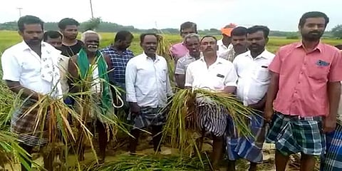 தொடர் மழையால் மூழ்கிய ஆயிரக்கணக்கான ஏக்கர் நெற்பயிர்கள்.. வேதனையில் விவசாயிகள்!